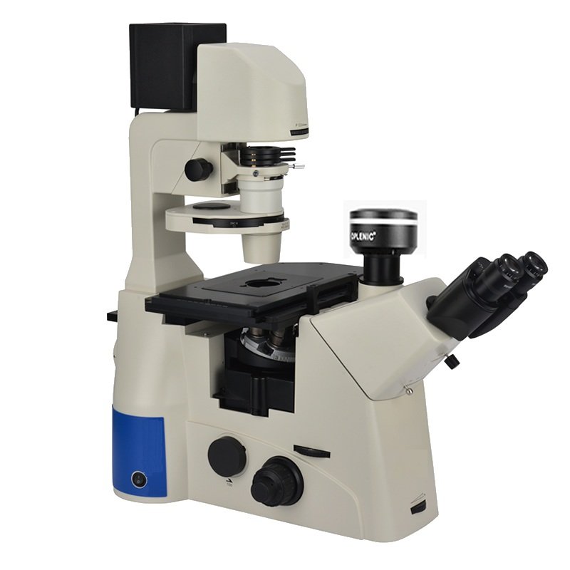 Product View