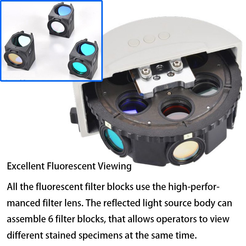 Product View
