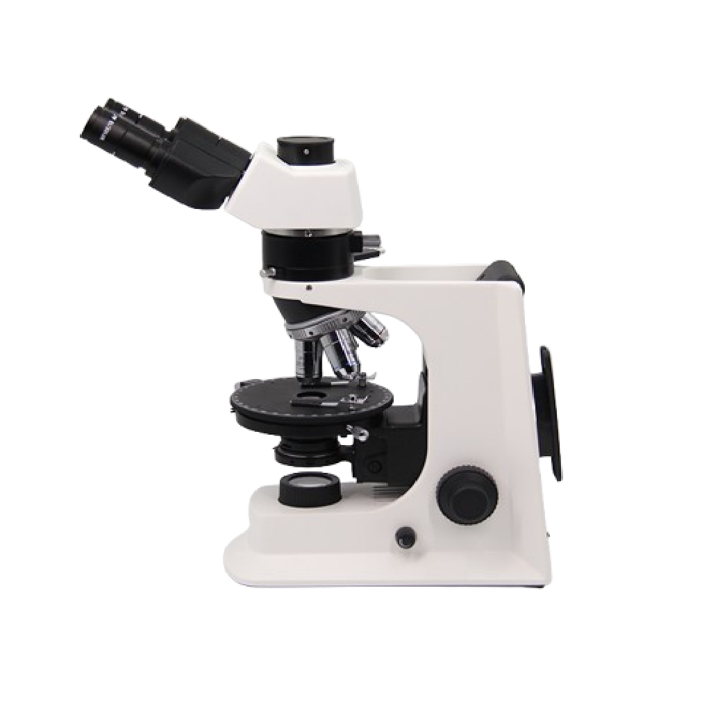 Product View
