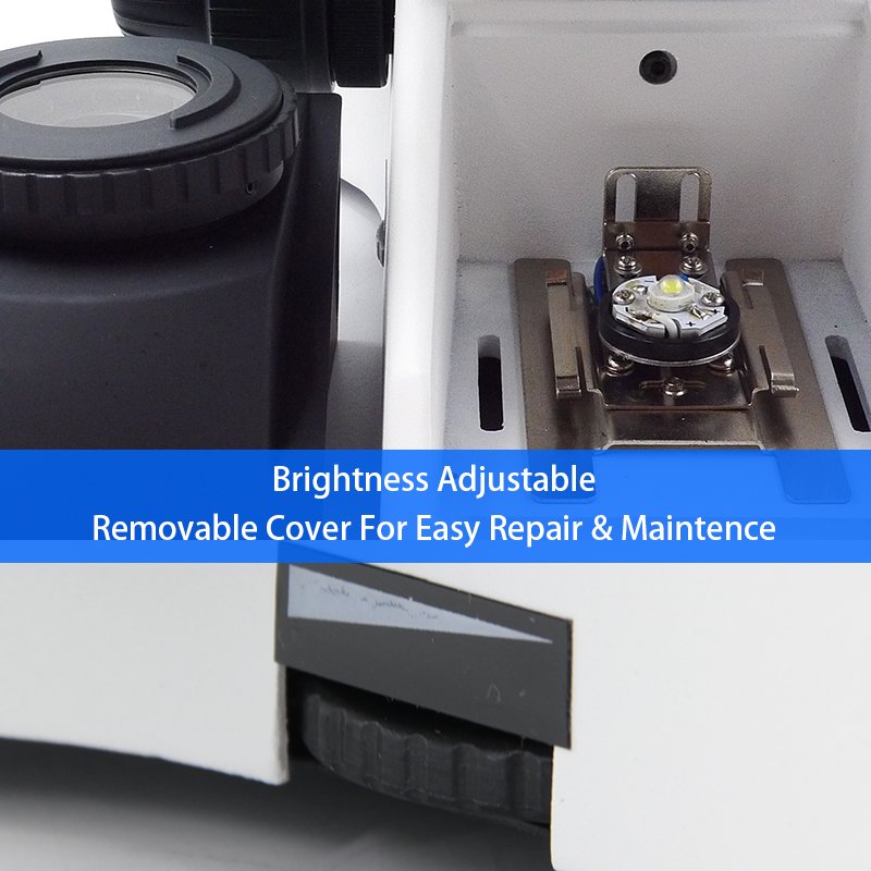 Product View
