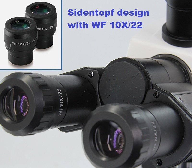 Product View